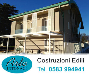 ARTE INTONACI S.R.L.