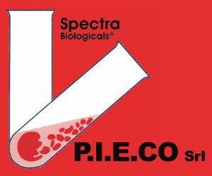 P.I.E.CO SRL