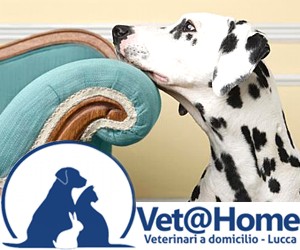 VET@HOME - VETERINARI A DOMICILIO